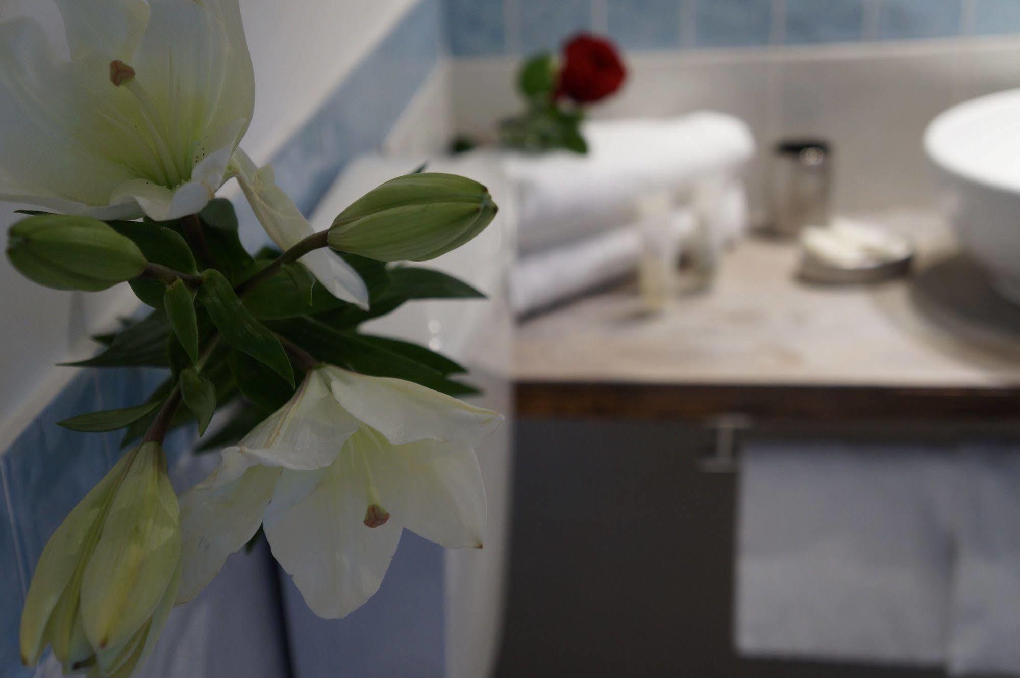 Jacuzzi Rooms روما المظهر الخارجي الصورة